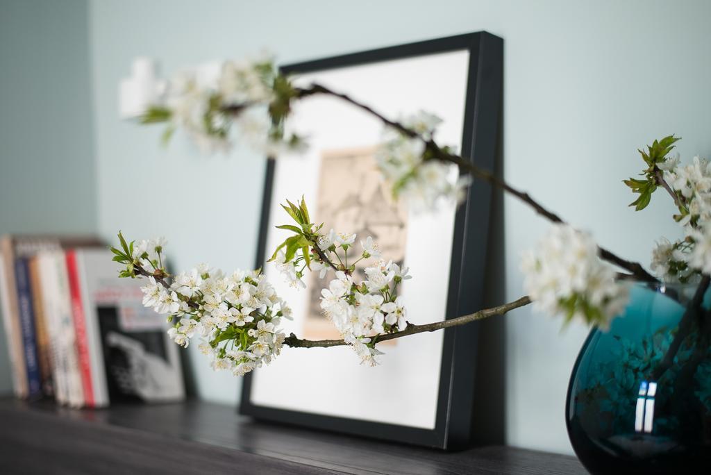 Apartament Paulove Krakow Ngoại thất bức ảnh