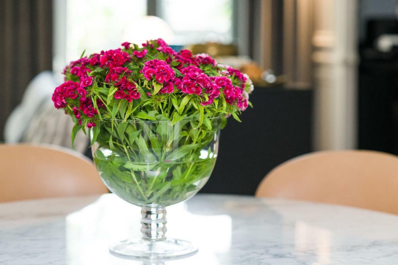 Apartament Paulove Krakow Ngoại thất bức ảnh
